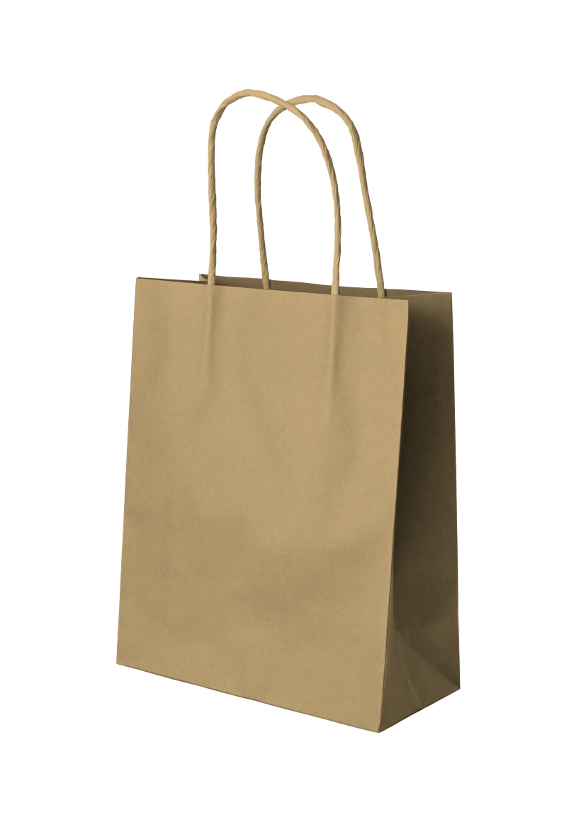 Paper Bag Brown