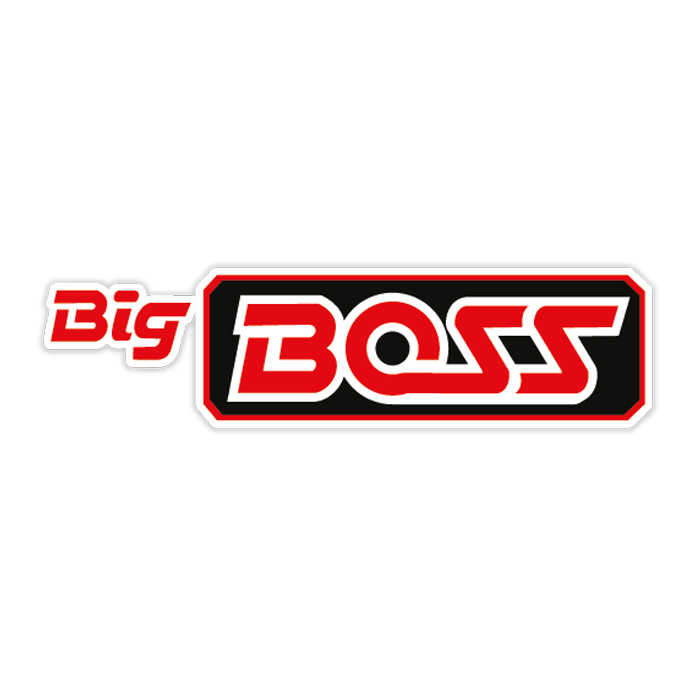 Big BOSS Logo